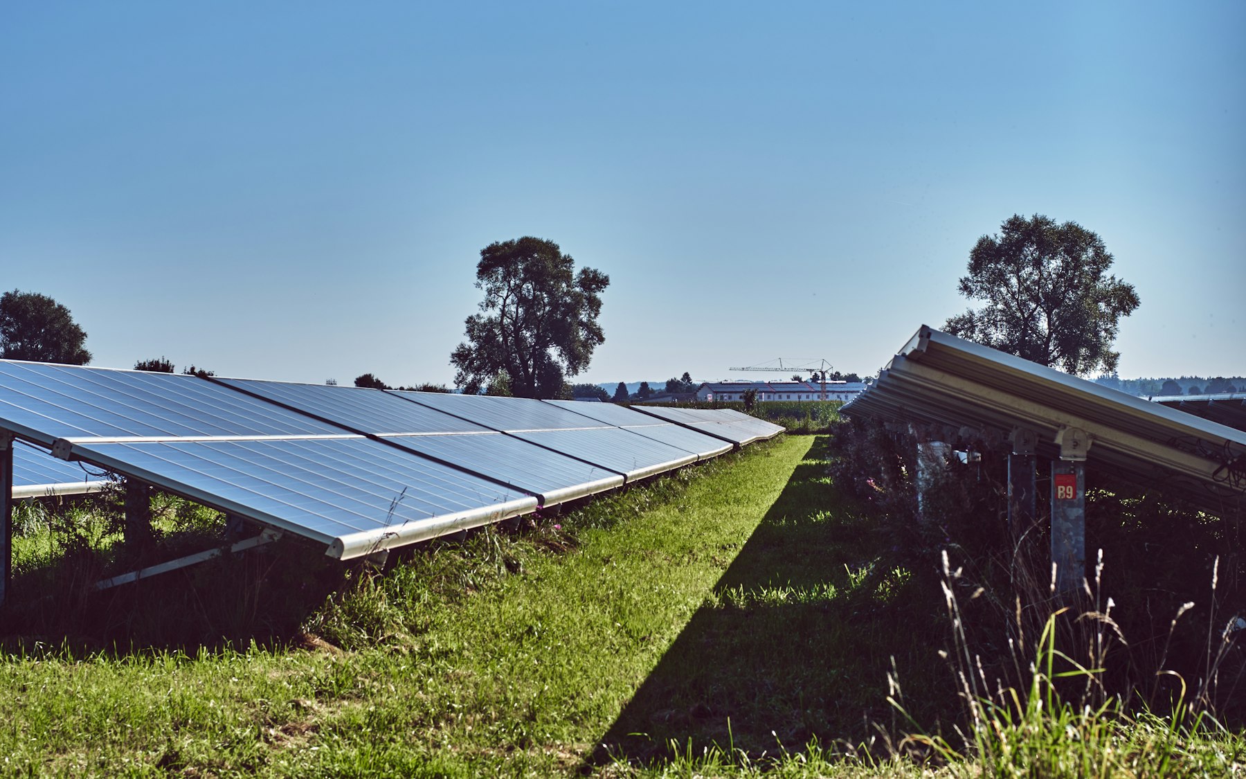 A ground-mounted solar array in a grass field