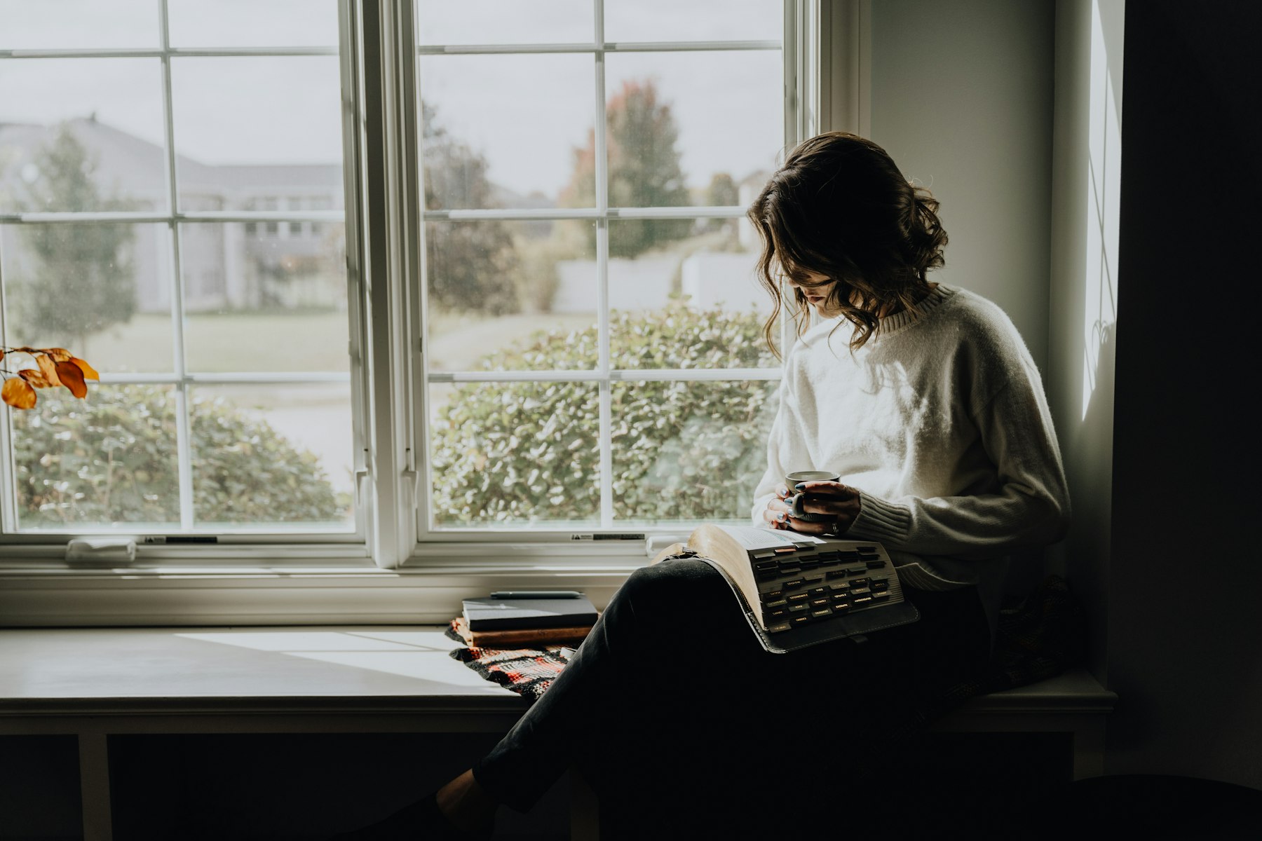 A woman reading by a window with countryside beyond